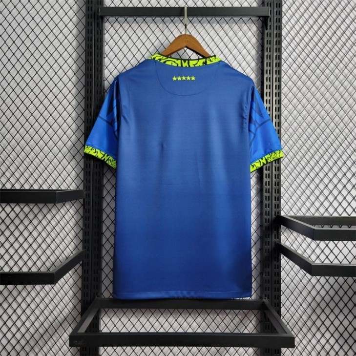 Nova Camisa Copa do Mundo da Seleção Brasileira Nike 2022 SantoGato